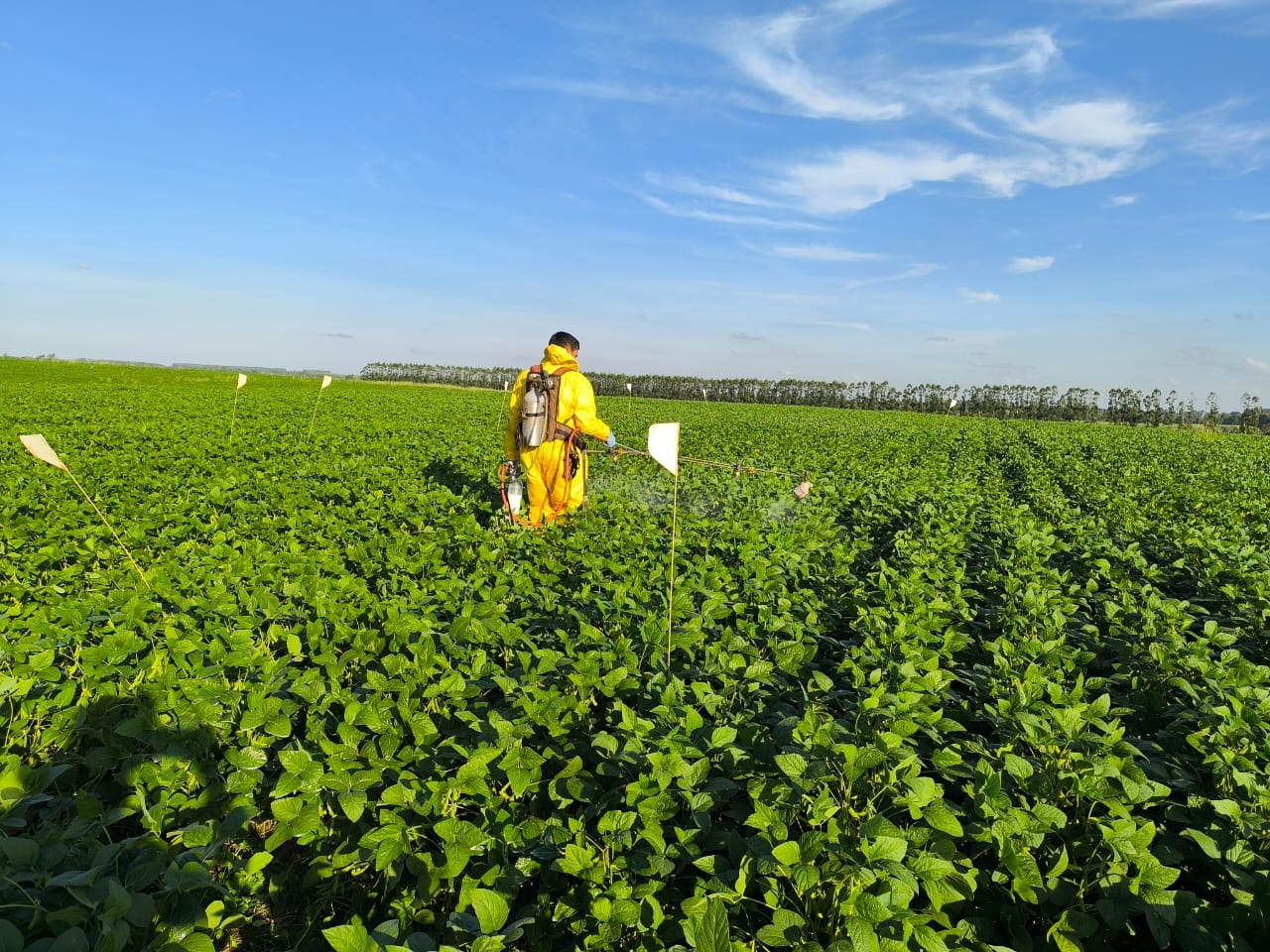 Aplicación en cultivos