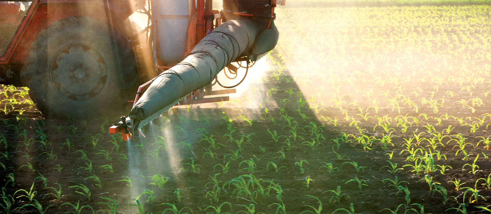 Complejos químicos NPK