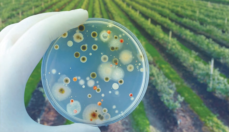 Productos biológicos